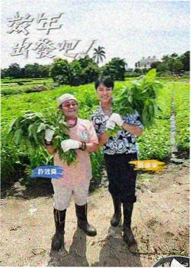 修复进度资讯